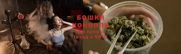 амф Россошь