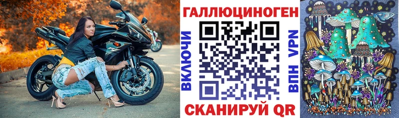 где можно купить наркотик Петушки Псилоцибиновые грибы мицелий